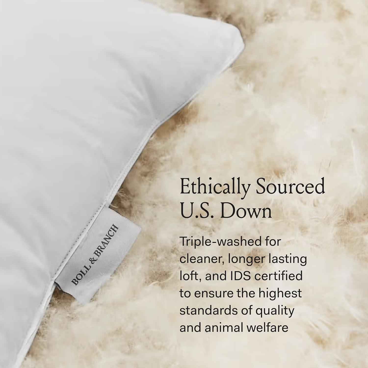 imageBOLL ampamp BRANCH Down Chamber Pillow Medium Standard Naturally Cooling Shell Premium Comfort Superior Support CrueltyFree IDS Certified DownStandard Medium Density